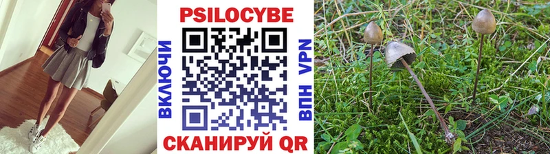купить   мега tor  дарк нет Telegram  Оханск  Галлюциногенные грибы Psilocybe 
